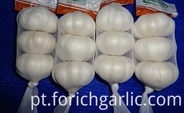 Export New Crop Pure White Garlic